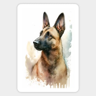 Belgian Malinois Dog Watercolor Portrait Magnet